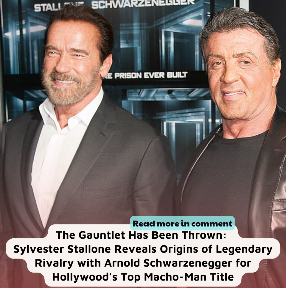 The Gauntlet Has Been Thrown: Sylvester Stallone Reveals Origins of ...